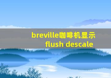 breville咖啡机显示flush descale